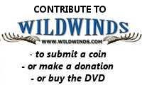 Wildwinds
